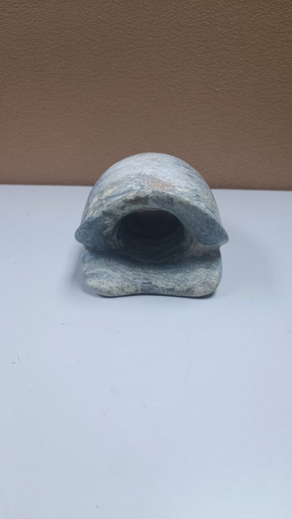 Turtle Nut
